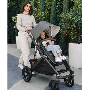 Коляска 2 в 1 UPPAbaby "Виста В3 Грейсон"